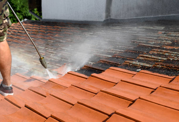 Best Deck Pressure Washing  in Waterman, IL