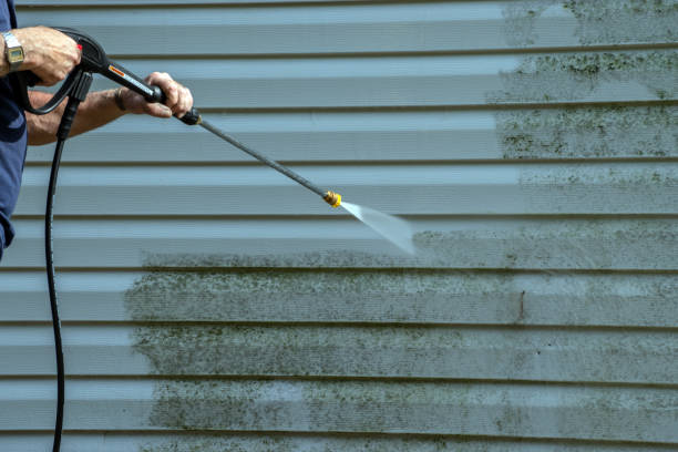 Best Roof Pressure Washing  in Waterman, IL