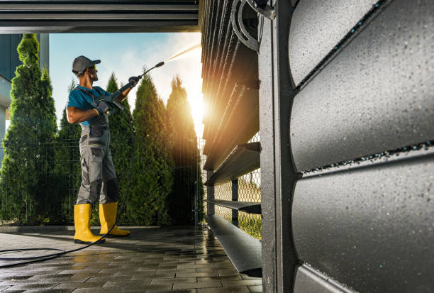 Best Deck Cleaning Services  in Waterman, IL