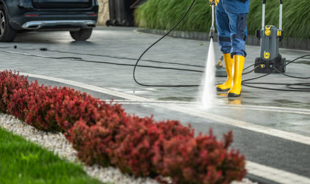 Best Affordable Pressure Washing  in Waterman, IL