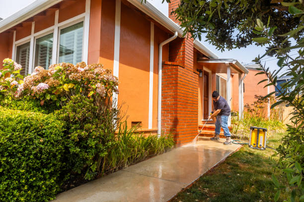 Best Affordable Pressure Washing  in Waterman, IL