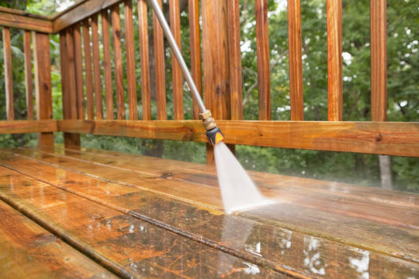 Best Deck Cleaning Services  in Waterman, IL