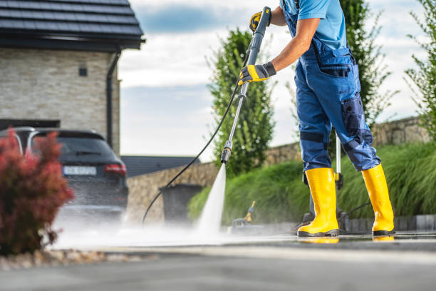 Best Roof Pressure Washing  in Waterman, IL