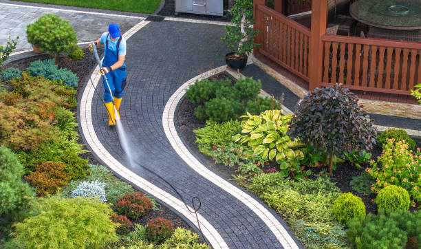 Best Affordable Power Washing  in Waterman, IL