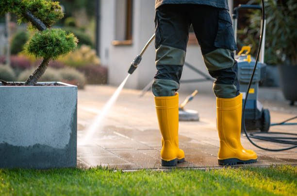 Best Pressure Washing Company Near Me  in Waterman, IL